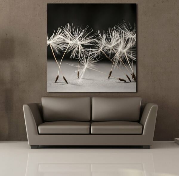 KARAHİNDİBA ÇİÇEĞİ KANVAS TABLO