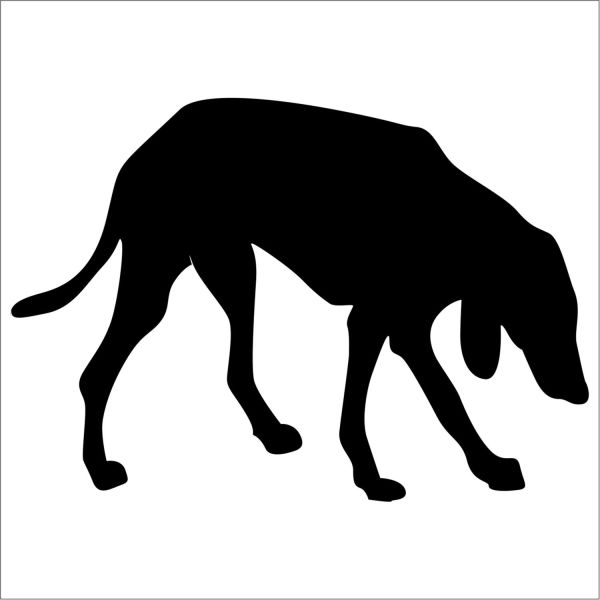 KÖPEK FOLYO STİCKER DERSTV889