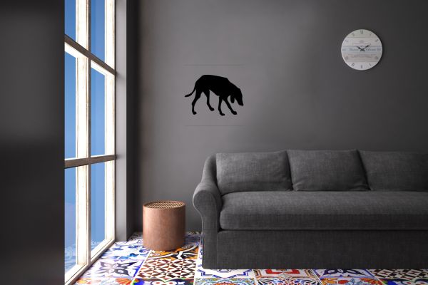 KÖPEK FOLYO STİCKER DERSTV889