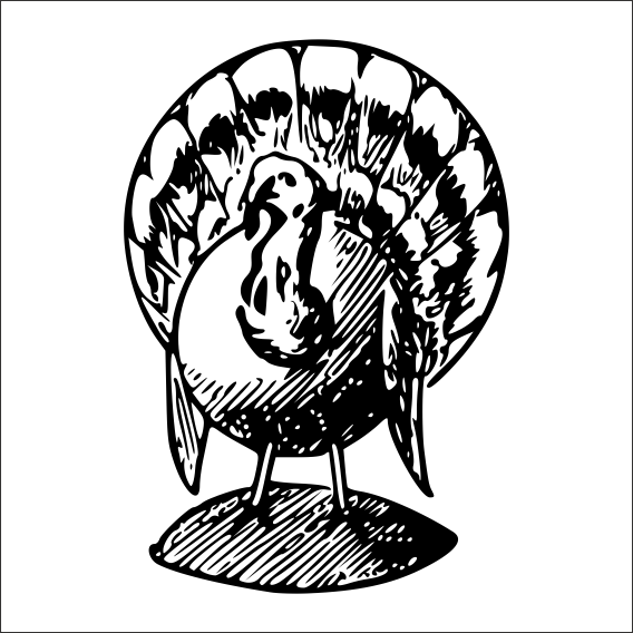 HİNDİ FOLYO STİCKER