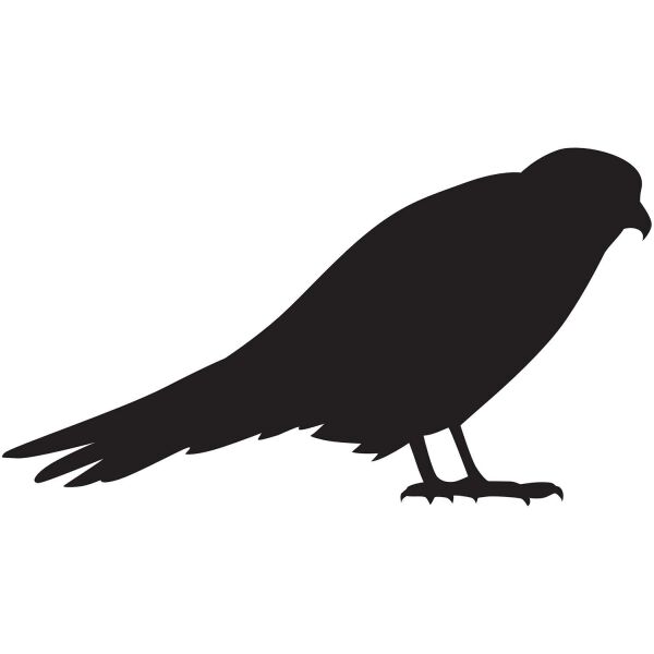 Folyo Sticker Arı Kuşu