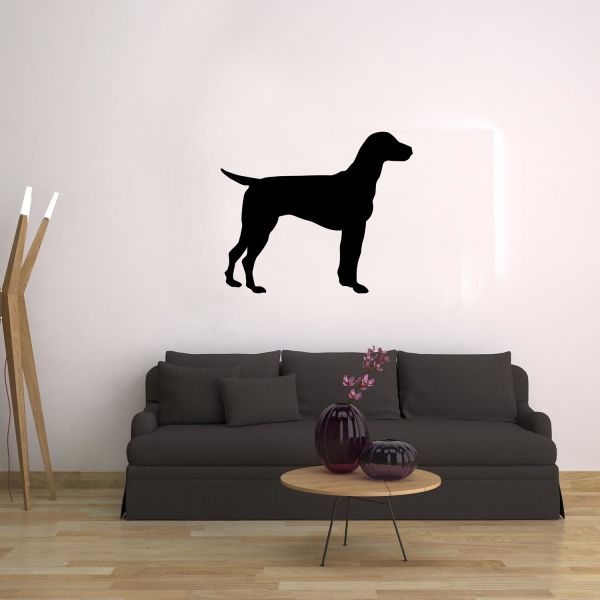 KÖPEK FOLYO STİCKER DERSTV891