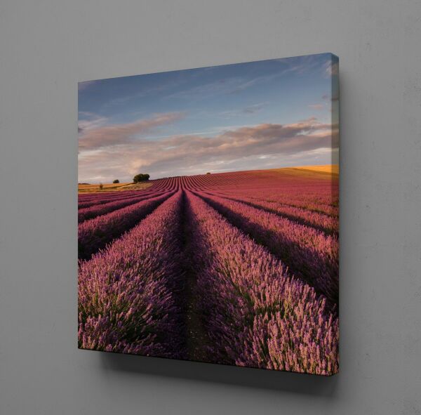 PEMBE ÇİÇEK TARLASI KANVAS TABLO