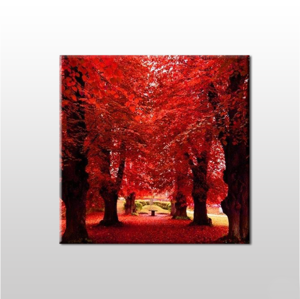 Sonbahar Ağaçlar Kanvas Tablo
