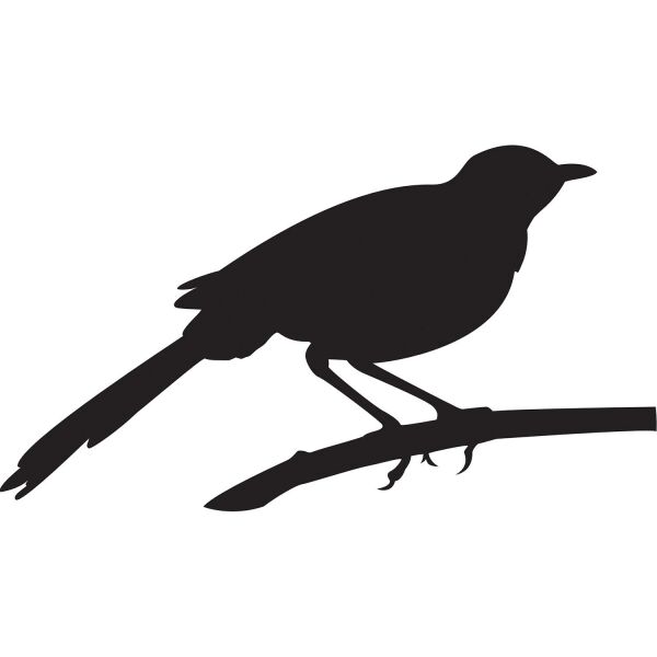 Folyo Sticker Arı Kuşu