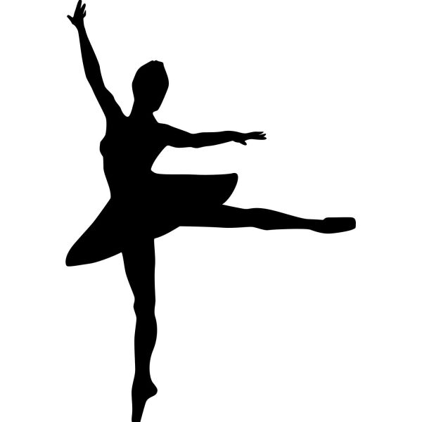 BALERİN KIZ FOLYO STİCKER