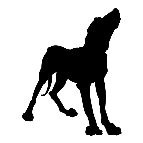 KÖPEK FOLYO STİCKER DERSTV893