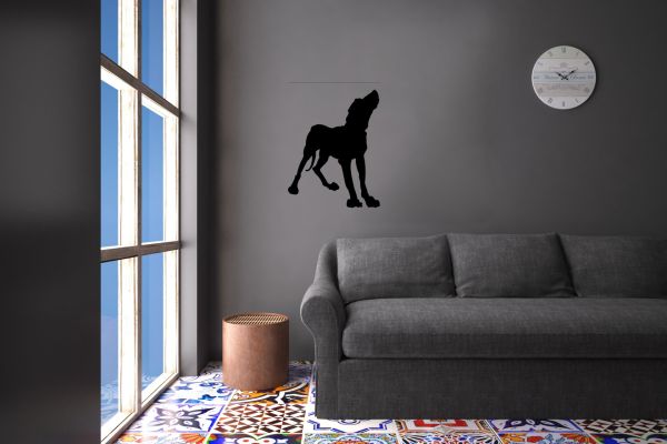 KÖPEK FOLYO STİCKER DERSTV893