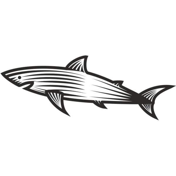 KÖPEK BALIĞI FOLYO STİCKER DERSTVE46147