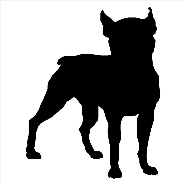 KÖPEK FOLYO STİCKER