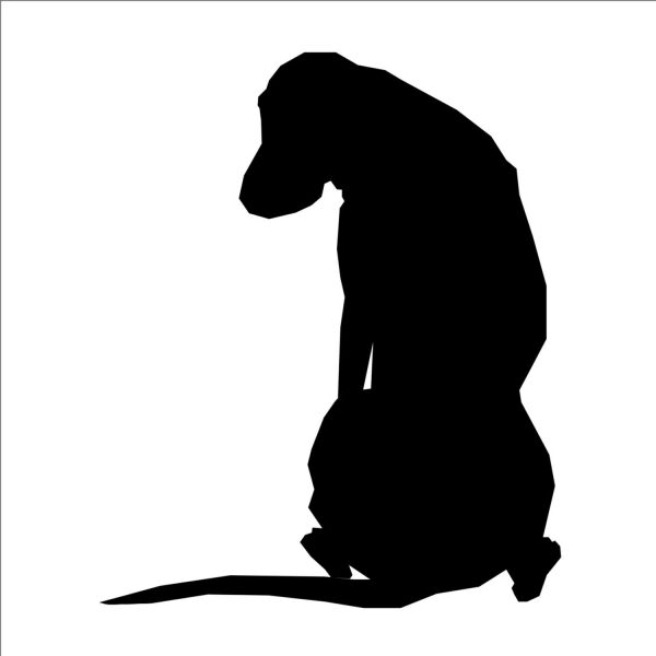 KÖPEK FOLYO STİCKER