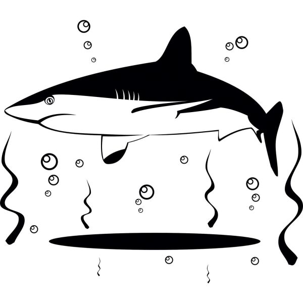 KÖPEK BALIĞI FOLYO STİCKER DERSTVE46150