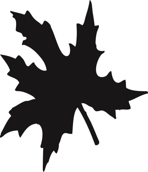 AĞAÇ VE GÜL RESİMLERİ FOLYO STİCKER