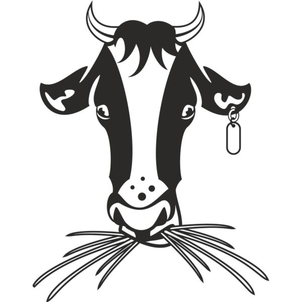 İNEK FOLYO STİCKER DERSTVE46061