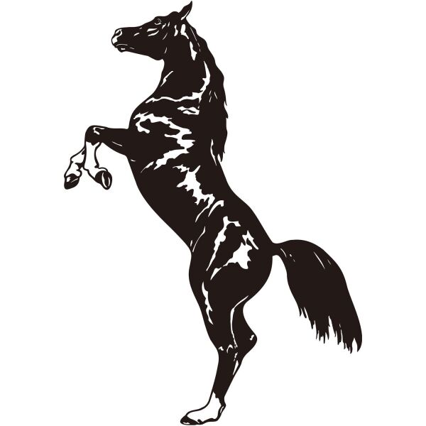 Folyo Sticker At