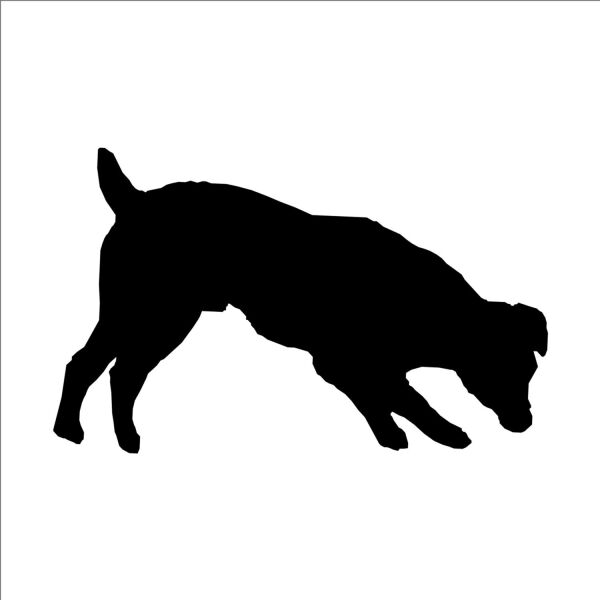 KÖPEK FOLYO STİCKER