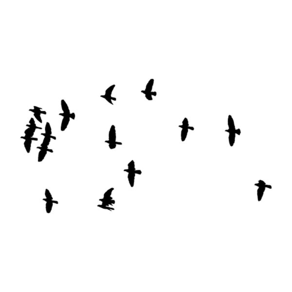 KUŞLAR FOLYO STİCKER