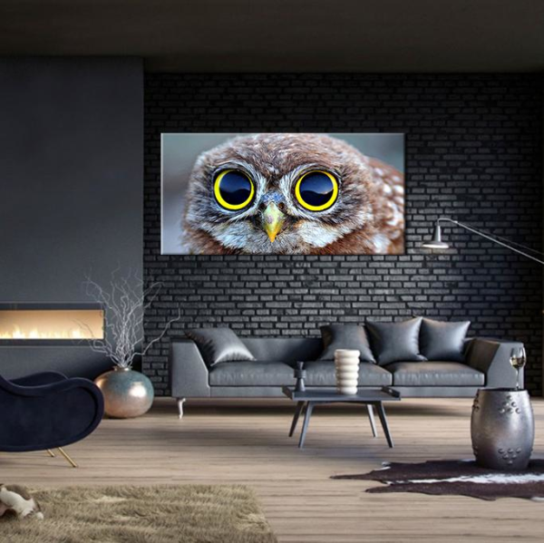Baykuş Kanvas Tablo
