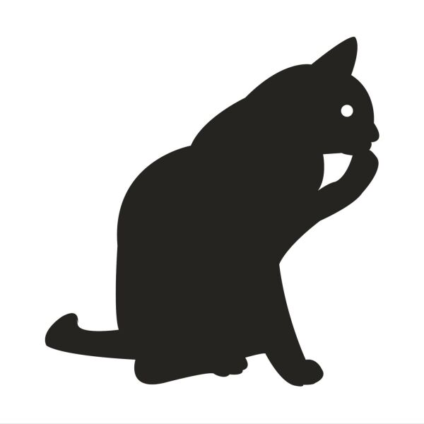 KEDİ FOLYO STİCKER