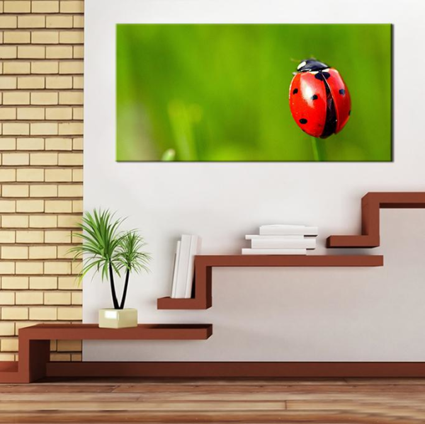 Uğur Böceği Kanvas Tablo