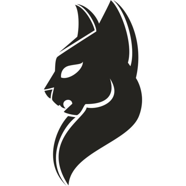 KEDİ FOLYO STİCKER