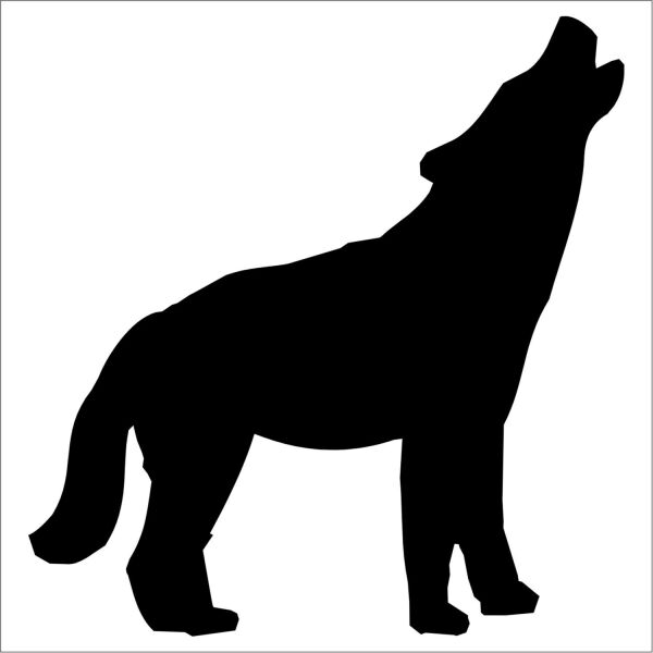 KÖPEK FOLYO STİCKER