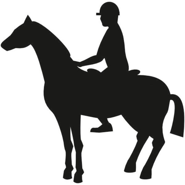 BİNİCİ FOLYO STİCKER