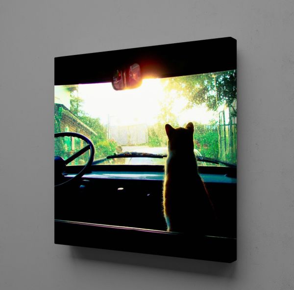 ARABADA KEDİ KANVAS TABLO